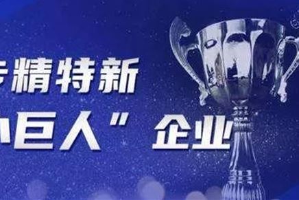 公司獲江蘇省“專精特新小巨人”榮譽(yù)稱號